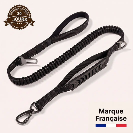 Laisse élastique anti-traction Nuva