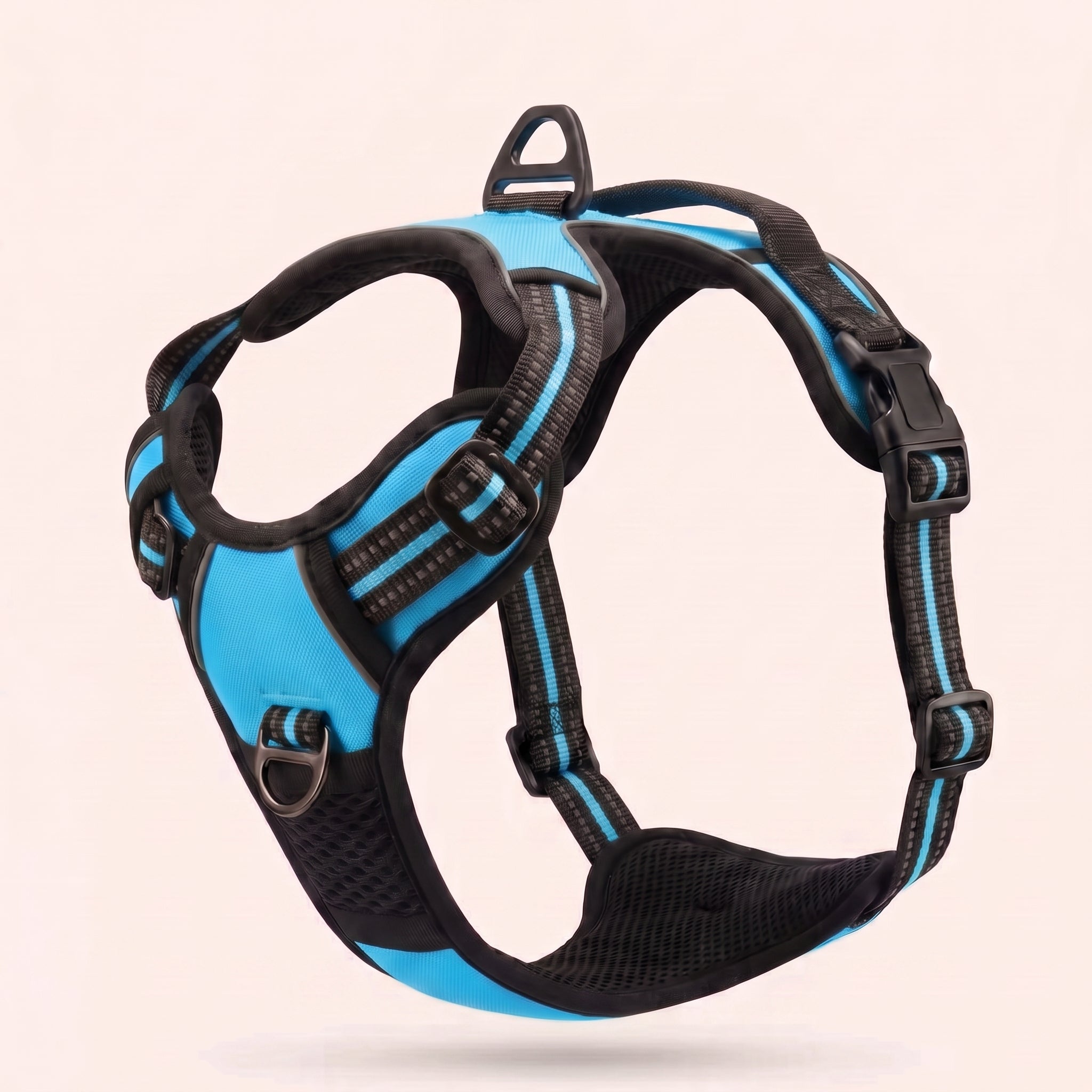 Harnais Nuva Turquoise
