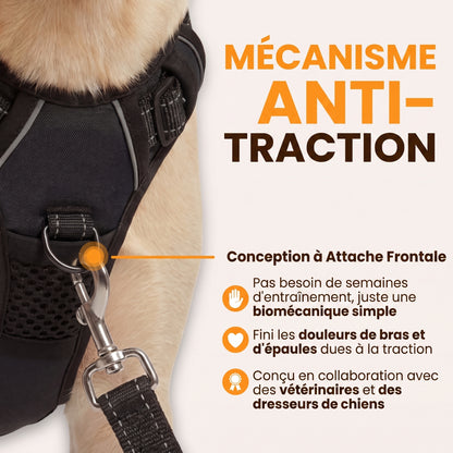 Harnais anti-traction Nuva