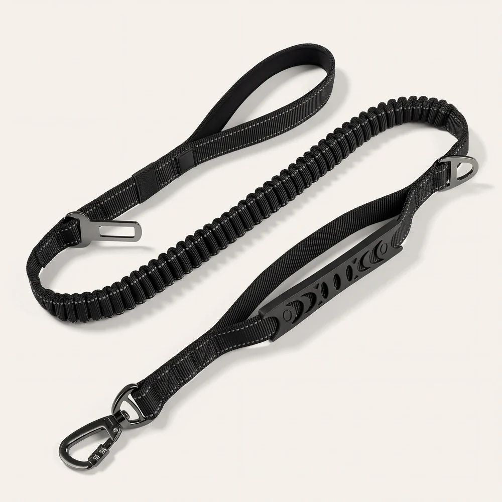 Laisse anti-traction Nuva noire avec zone élastique bungee et poignée matelassée
