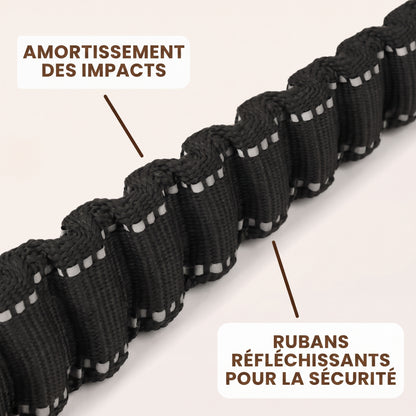 Zoom sur la zone élastique bungee amortissant les à-coups et les coutures réfléchissantes de la laisse Nuva