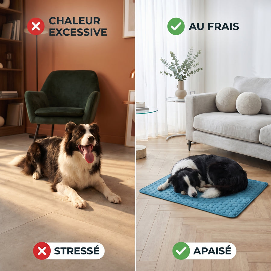 Tapis de refroidissement Nuva