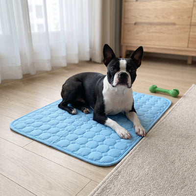 Chien installé sur son tapis Nuva